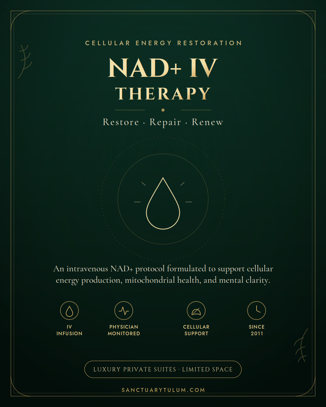 NAD+ IV vs Oral NAD Supplements: Bioavailability and Clinical Outcomes — Sanctuary Tulum
