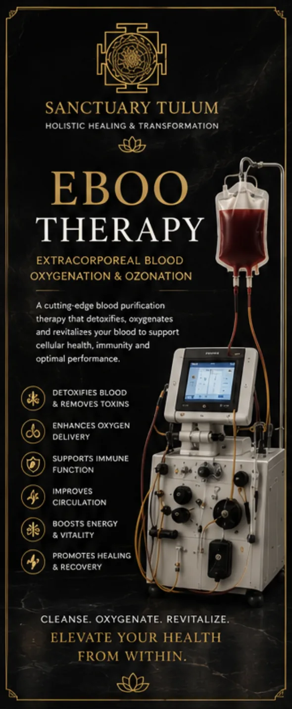 EBOO extracorporeal blood ozonation and oxygenation therapy chamber at Sanctuary Tulum