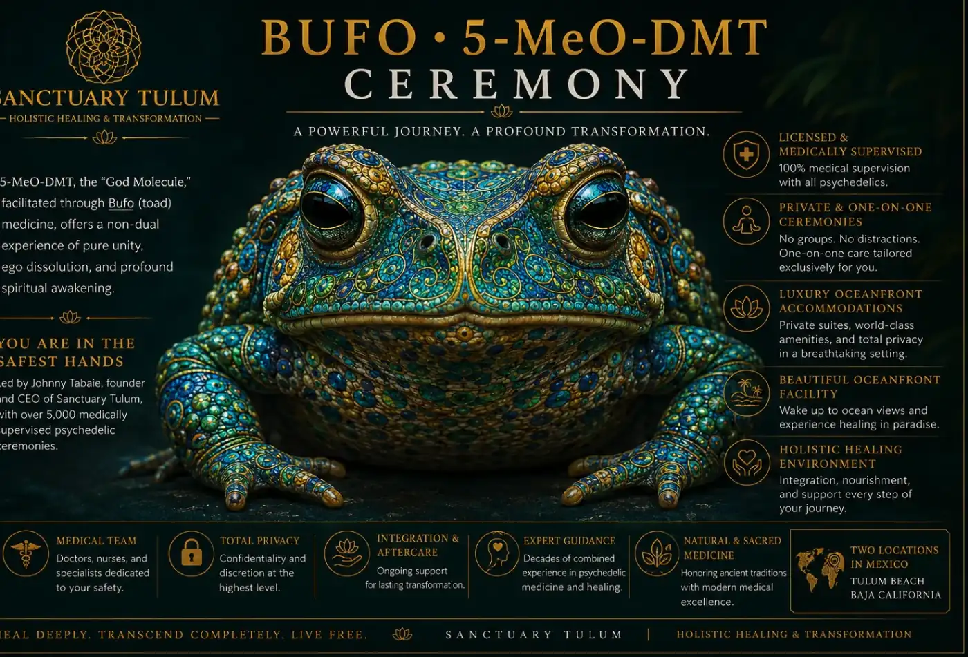 Toad Medicine (5-MeO-DMT): What the Science Actually Shows