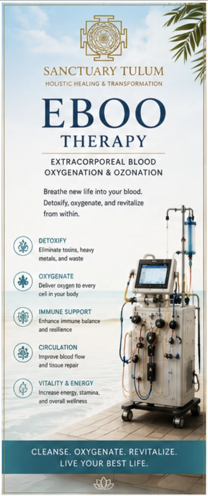 eboo therapy medically supervised ozone blood treatment oceanview — EBOO extracorporeal blood oxygenation and ozonation therapy at Sanctuary Tulum eboo therapy medically supervised ozone blood treatment oceanview — EBOO extracorporeal blood oxygenation and ozonation therapy at Sanctuary Tulum