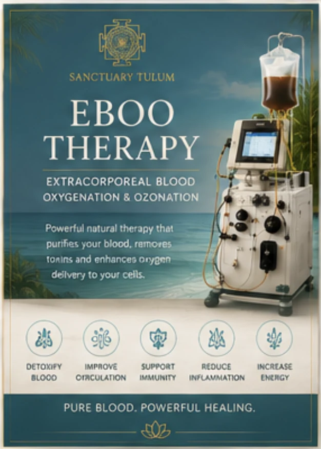 EBOO Therapy Tulum EBOO Therapy Tulum