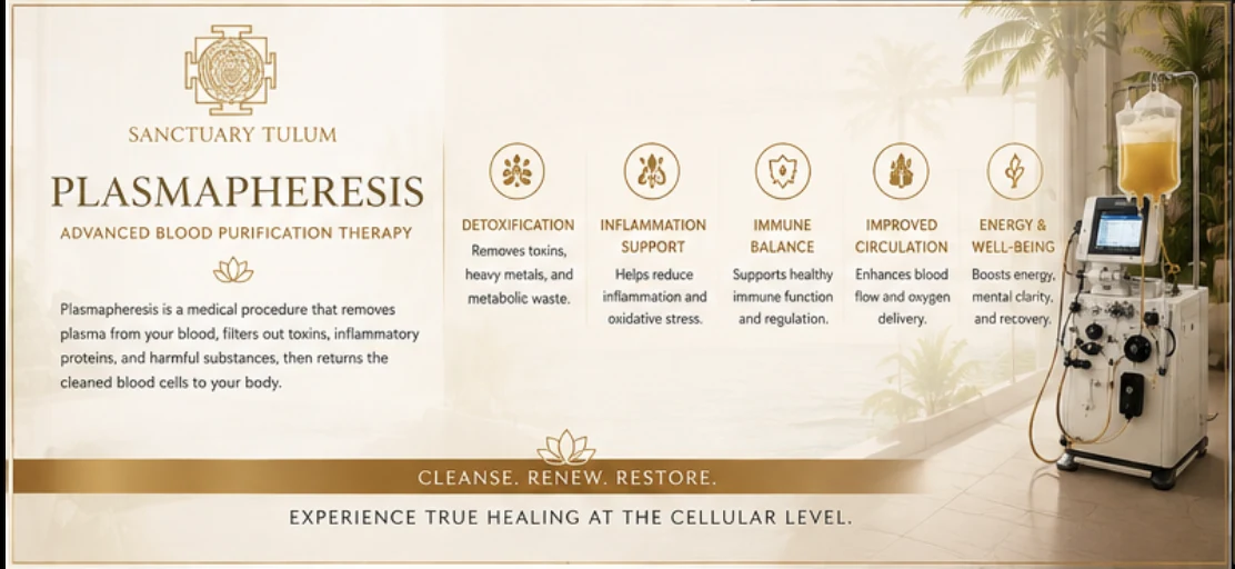 Plasmapheresis advanced blood purification therapy at Sanctuary Tulum for SSRI, benzodiazepine and pharmaceutical medication detox