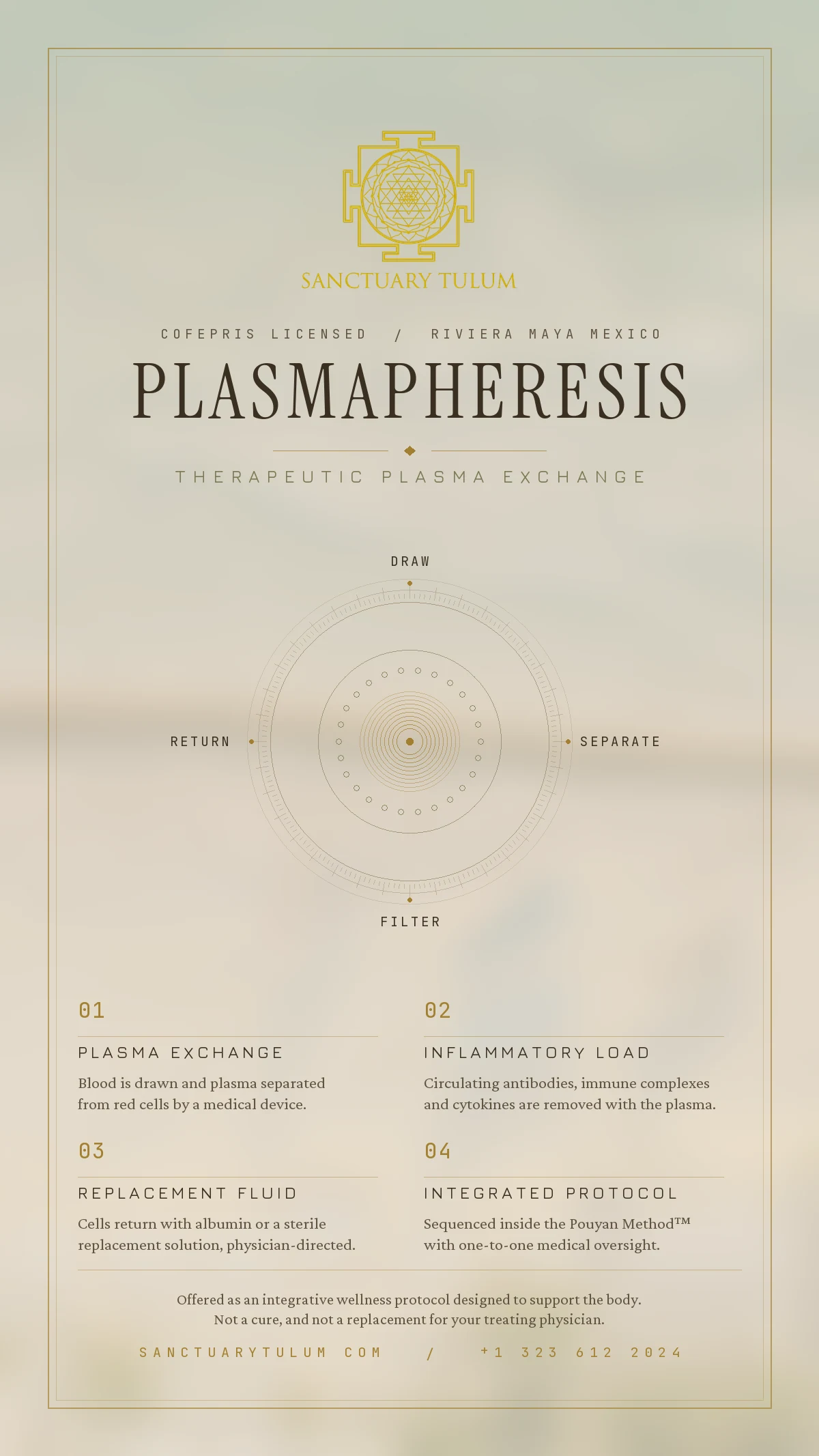 Plasmapheresis Mexico — plasma exchange for medication detox, chelation-resistant heavy metals and biotoxin load at Sanctuary Tulum