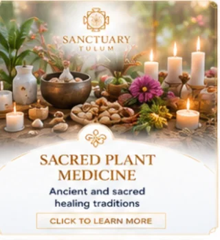 sacred plant medicine — clinical psychedelic research and supervised plant medicine care at Sanctuary Tulum sacred plant medicine — clinical psychedelic research and supervised plant medicine care at Sanctuary Tulum