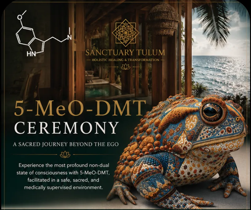 5-MeO-DMT Ceremony — Program Guide
