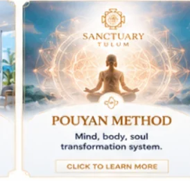 The Pouyan Method therapeutic framework