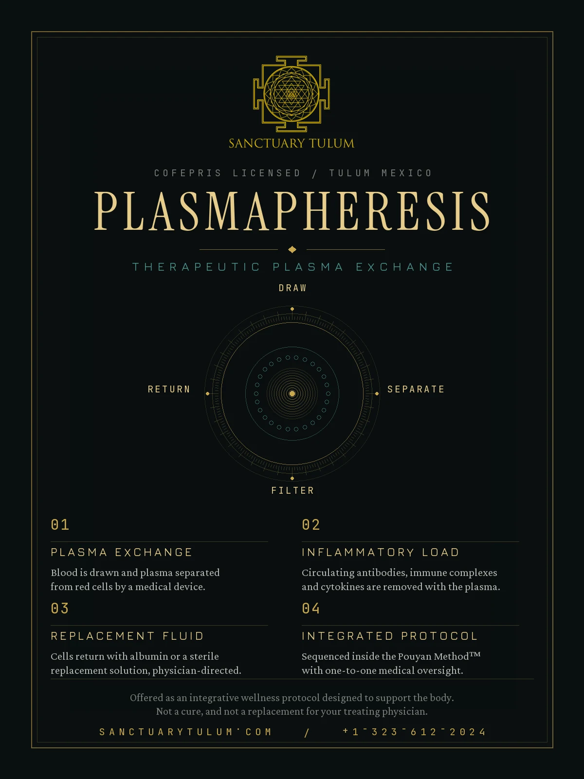 Plasmapheresis therapeutic plasma exchange process at Sanctuary Tulum — blood draw, plasma separation, toxin filtration and cell return