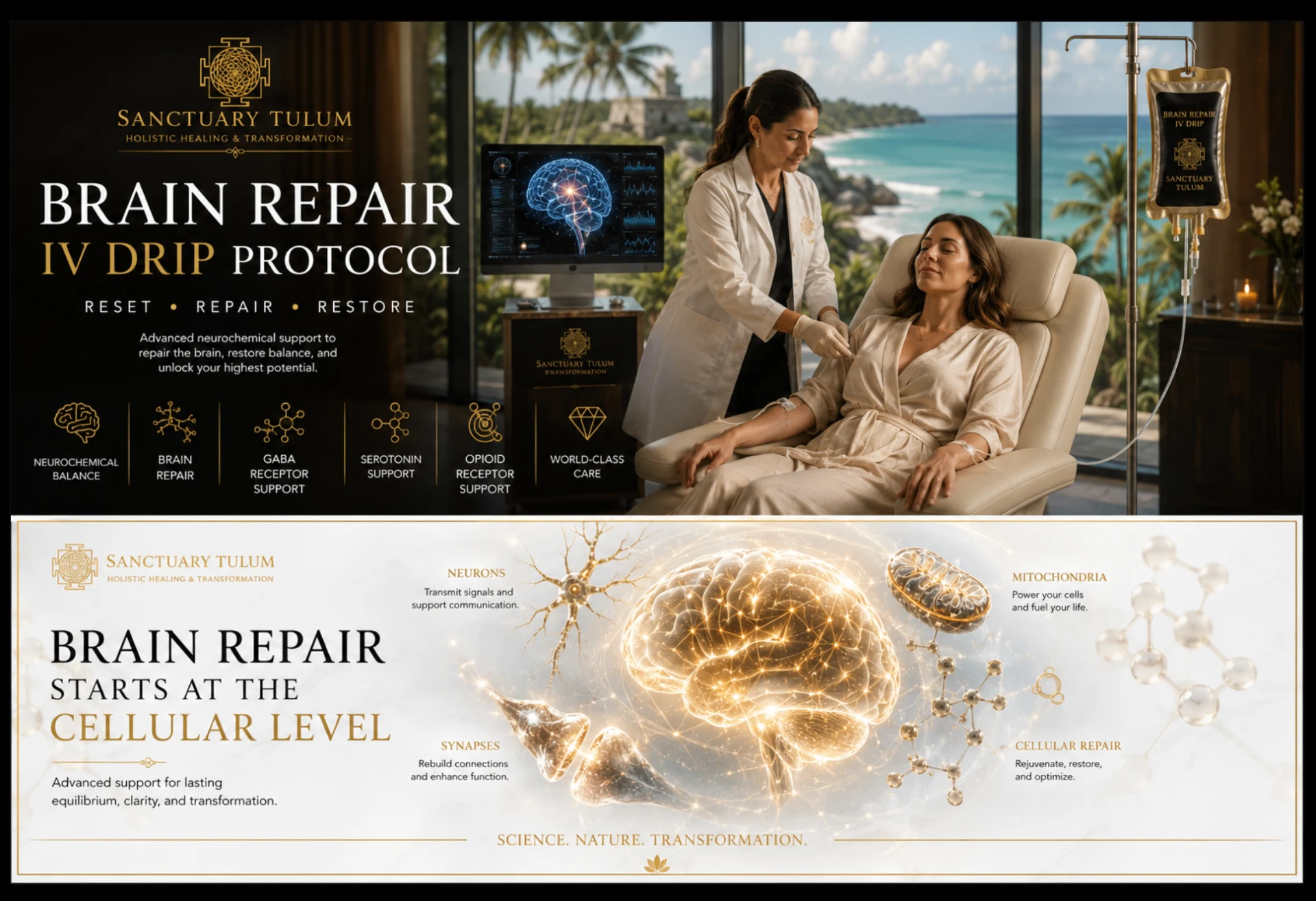 Benzodiazepine recovery support with the Brain Repair IV protocol