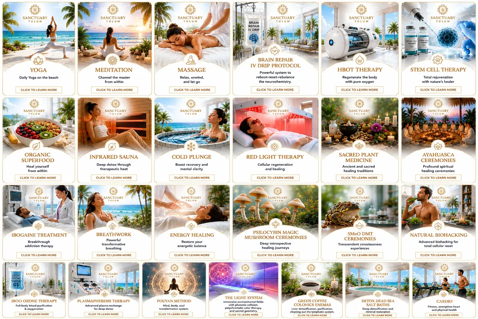 Superfood juice cleanse diet at Sanctuary Tulum supporting brain repair and detoxification