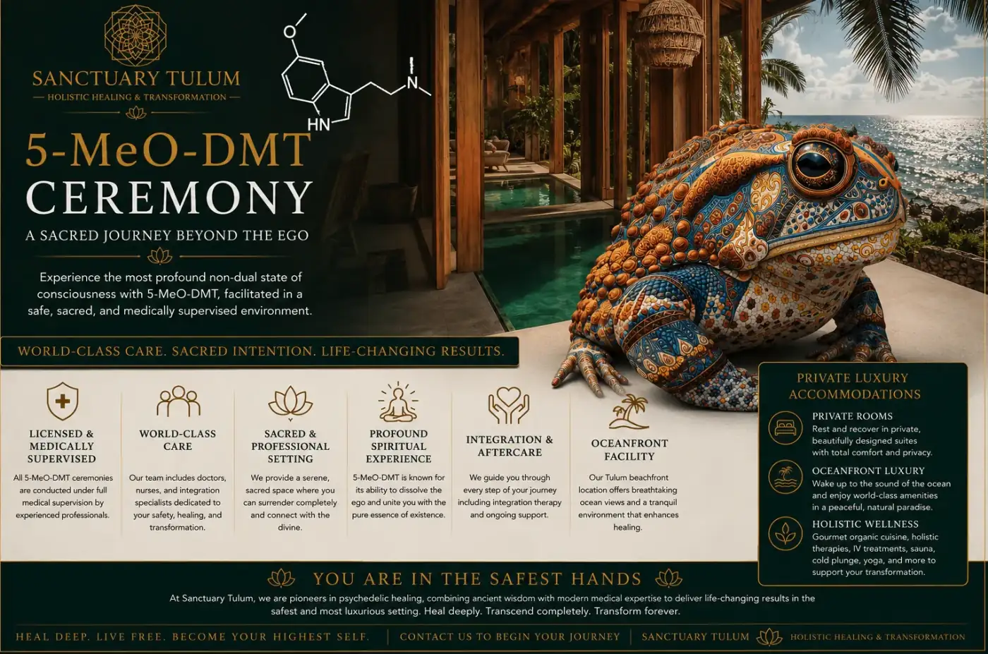 5-MeO-DMT for PTSD: A New Frontier in Trauma Treatment