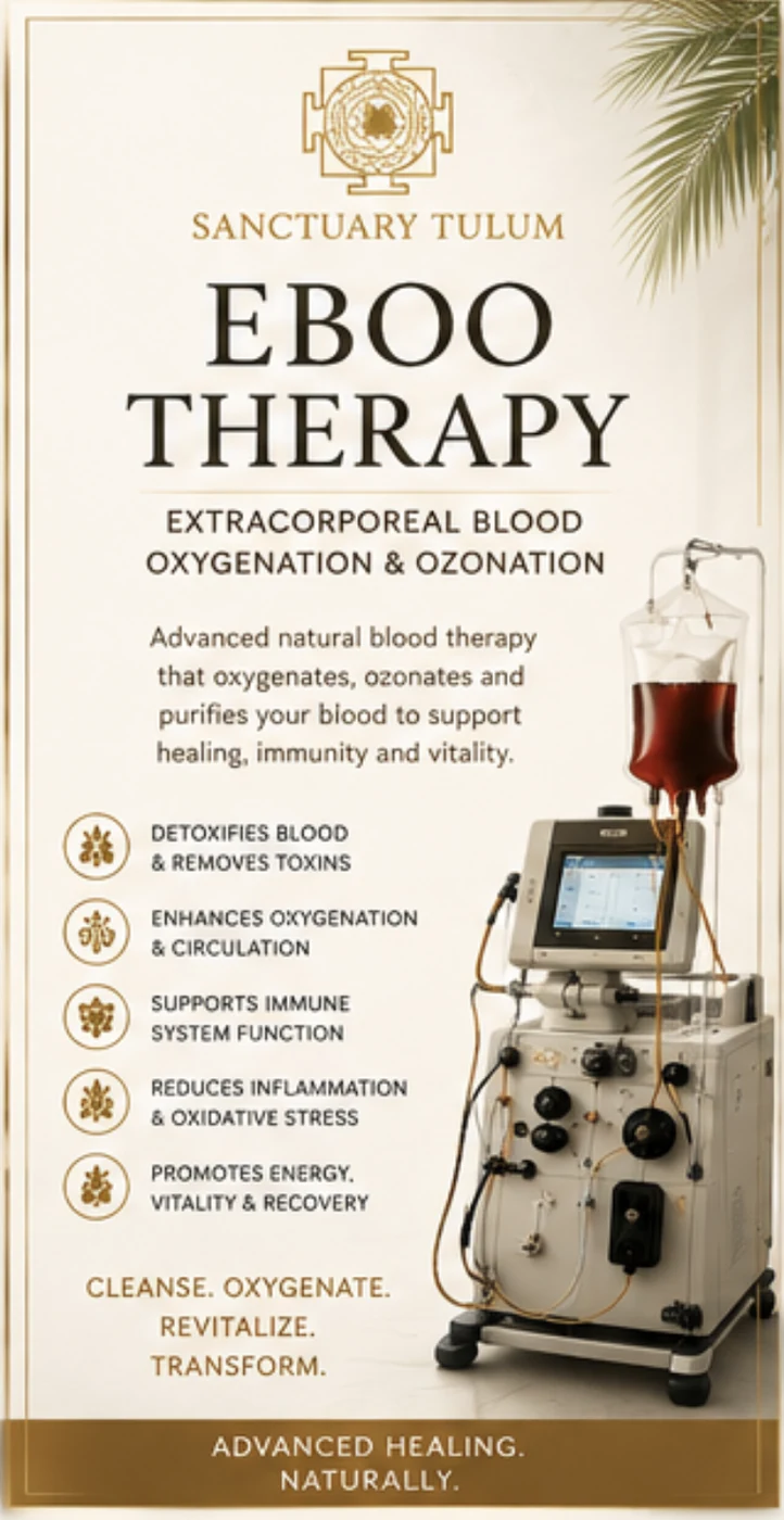 EBOO immune-support protocol for post-viral fatigue at Sanctuary Tulum